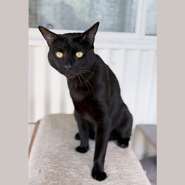 Photo of Vinnie