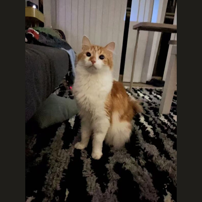 Photo of Tony Pepperoni