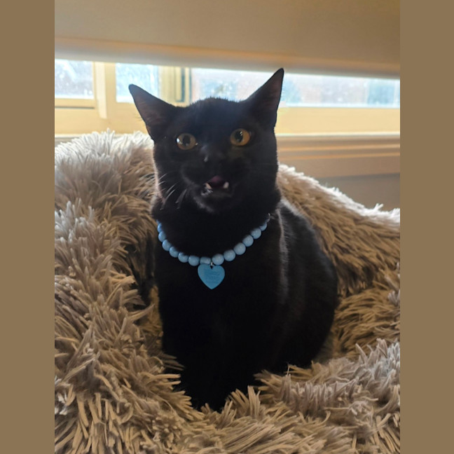 Photo of Mystic