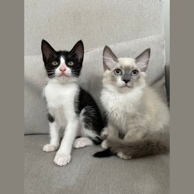 Photo of Madame Morrible