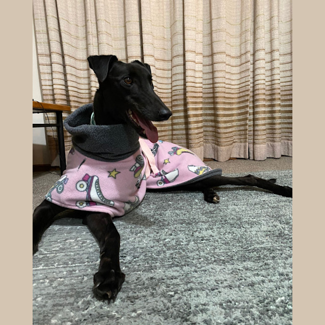 Photo of Izzie