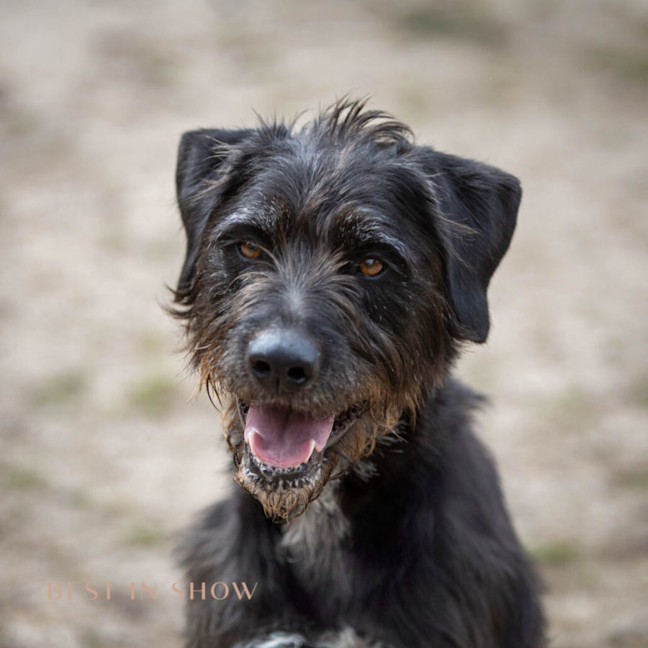 Photo of Luna