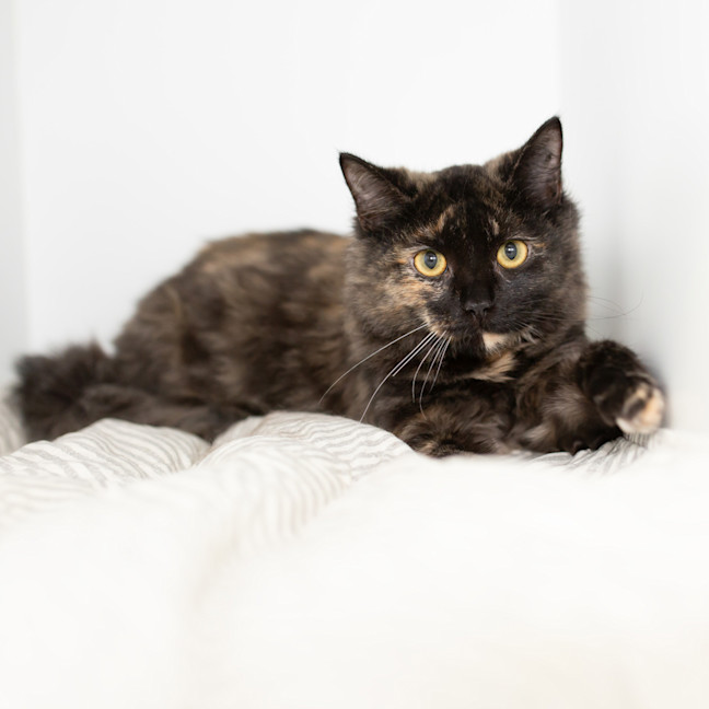 Photo of Baby Melanie