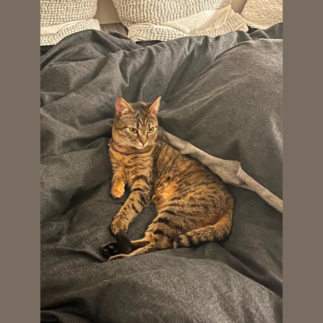 Photo of Patch