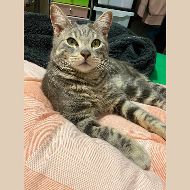 Photo of Big Ted & Little Roger