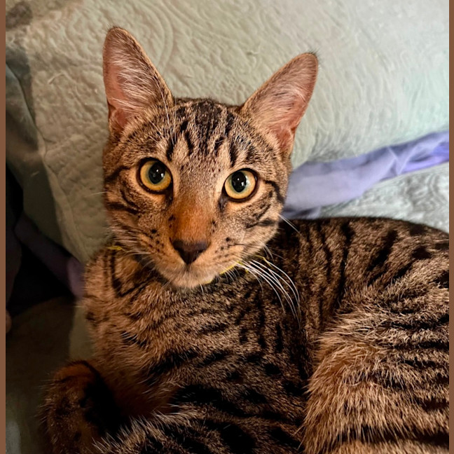 Photo of Frank