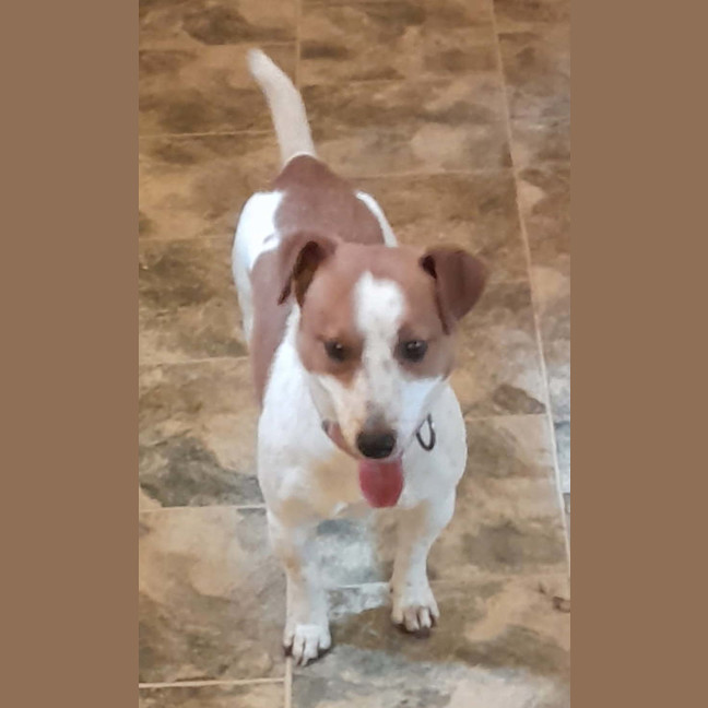 Photo of Russel