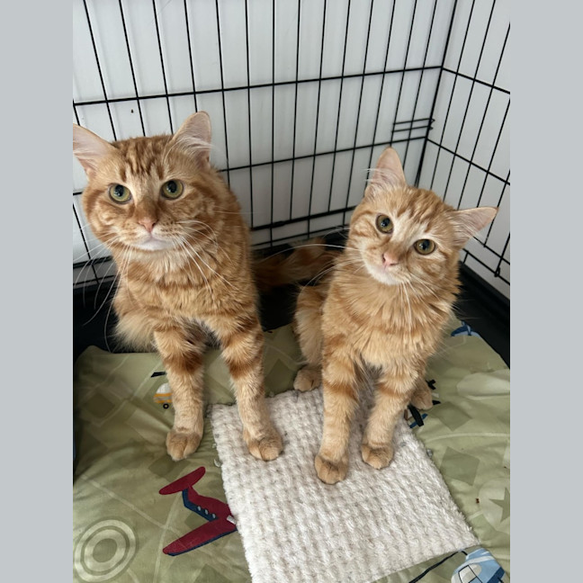 Photo of Barnaby & Rosie 