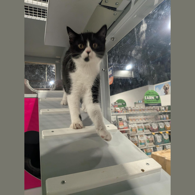 Photo of Artemis 