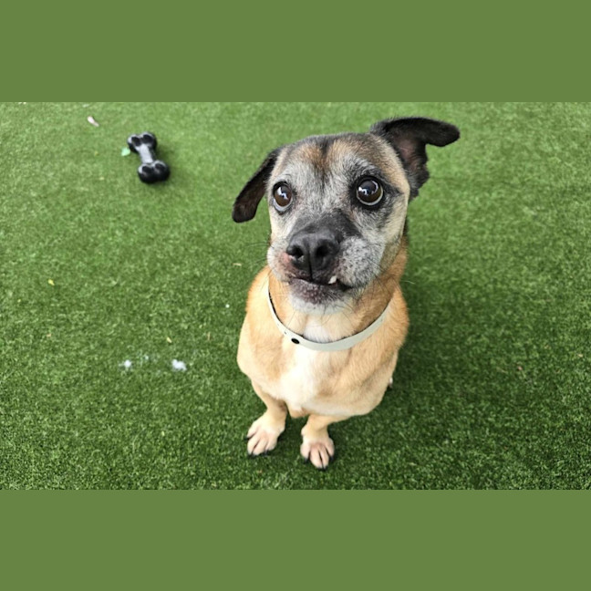 Photo of Kevin Imp 690