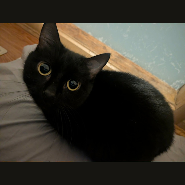 Photo of Ms Milo