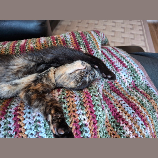 Photo of Crusoe