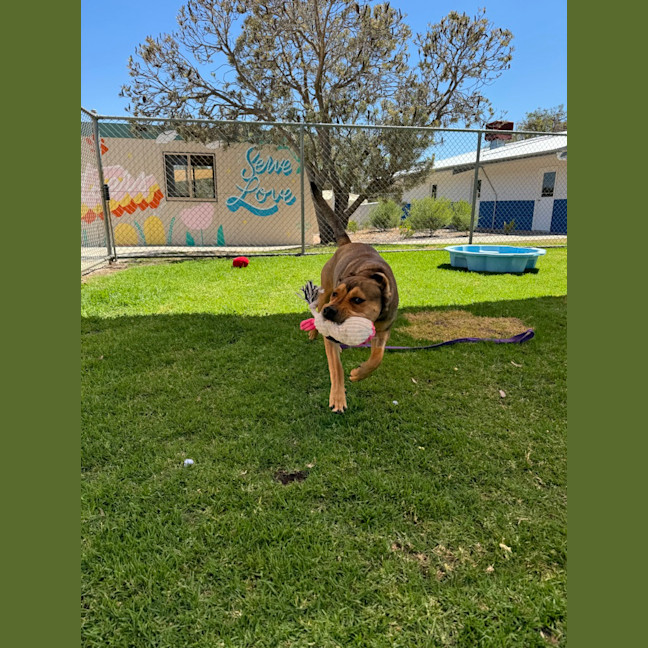 Photo of Carly