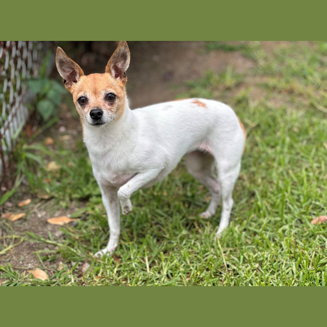 Photo of Milly