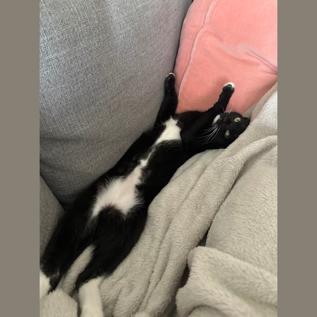 Photo of Apple Bottom Jeans