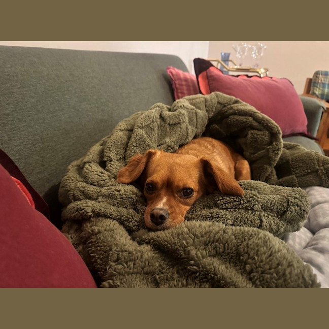 Photo of Toby Quinnell