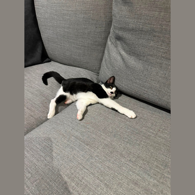 Photo of Zip