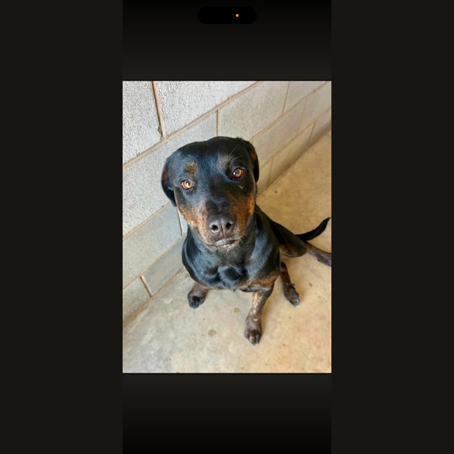 Photo of Lucy