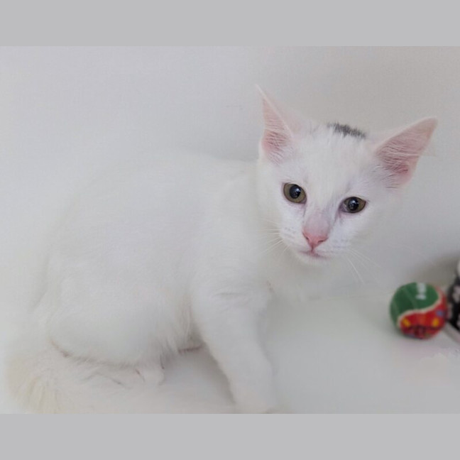 Photo of Cloud