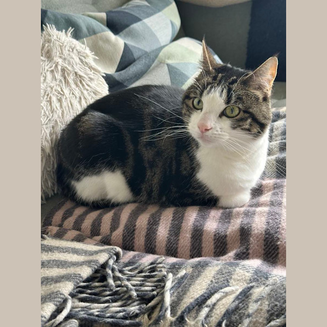 Photo of Coffee   Located In Thornbury