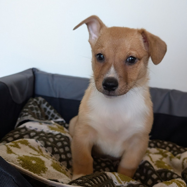 Photo of Eggsy