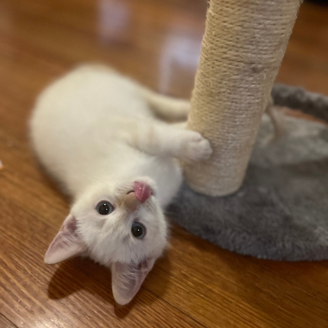 Photo of The Wizard Of Oz