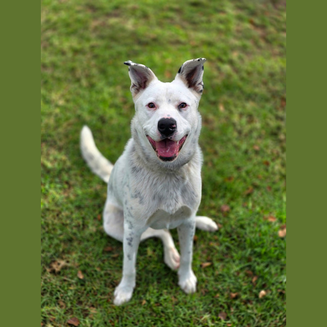 Photo of Breeze