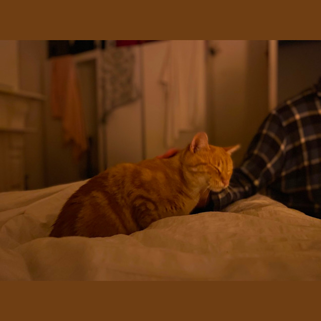 Photo of Tobasco & Tisco 