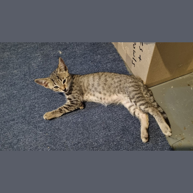 Photo of Ezra