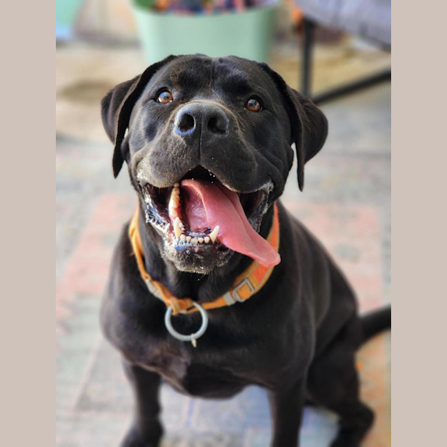 Photo of 🐞 Stevie 6855 🐞