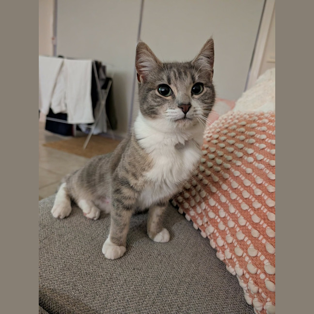 Photo of Leeloo