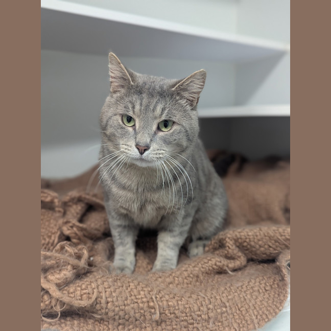 Photo of Storm 