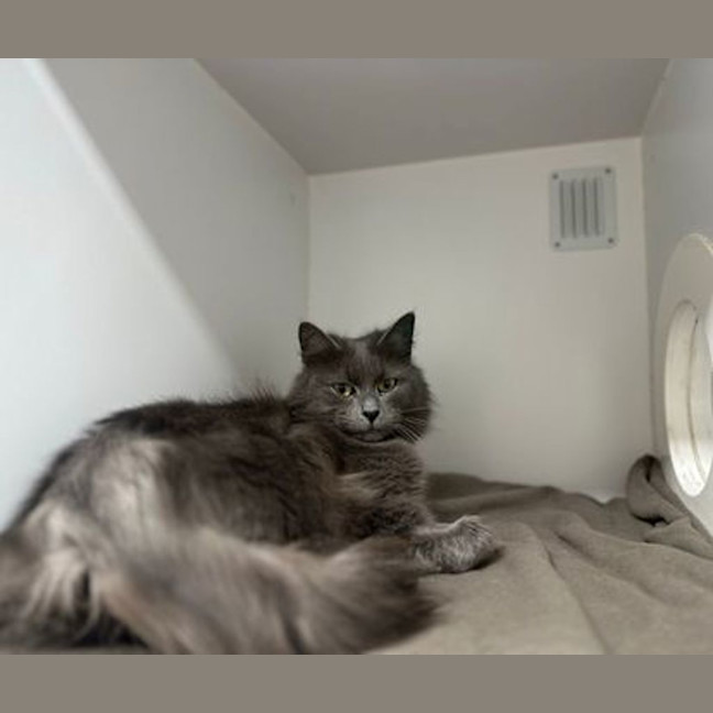 Photo of Sweetie