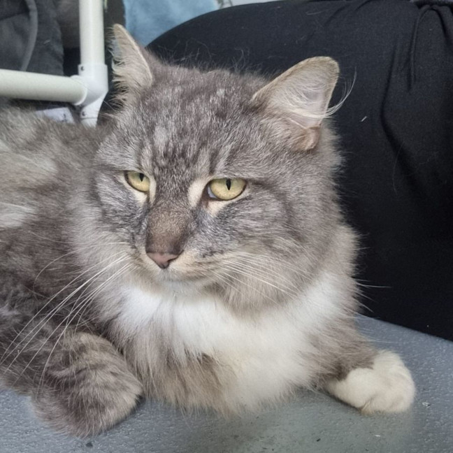 Photo of Lucy