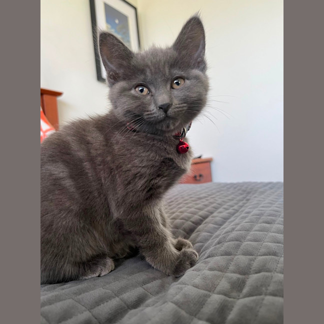 Photo of Lala