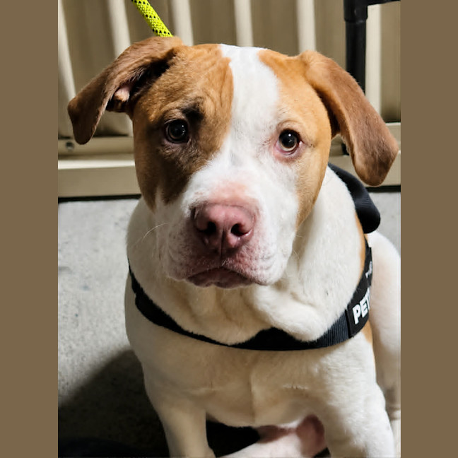 Photo of Ernie