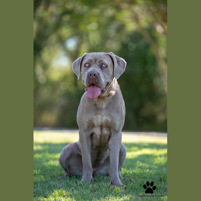 Photo of Sienna