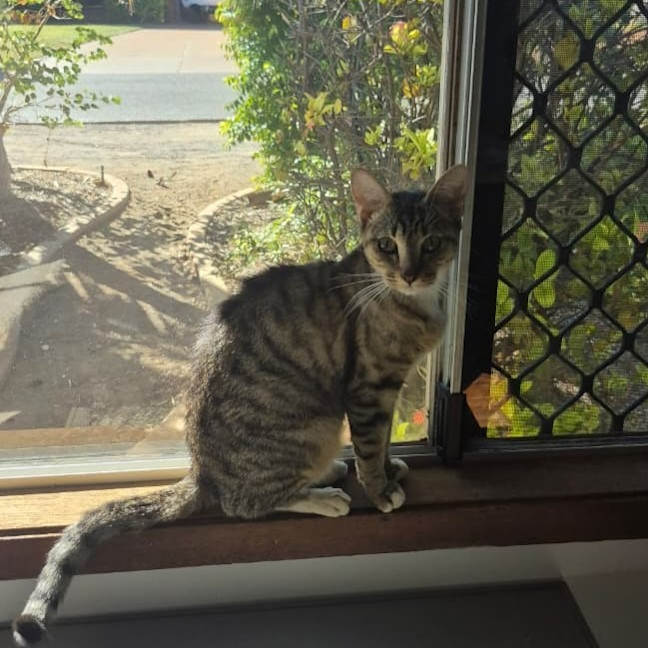 Photo of Sally
