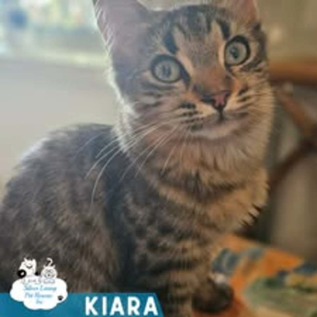 Photo of Kiara