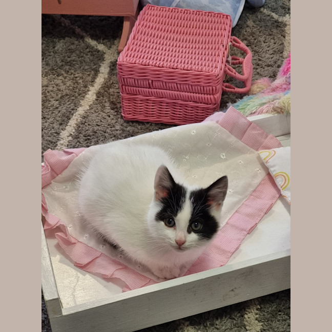 Photo of Eddie & Cherry 