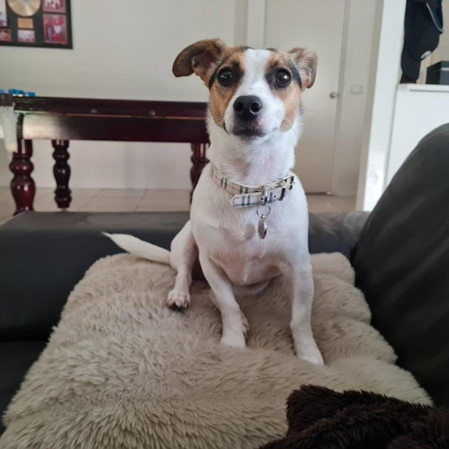 Photo of Coco Newhaven