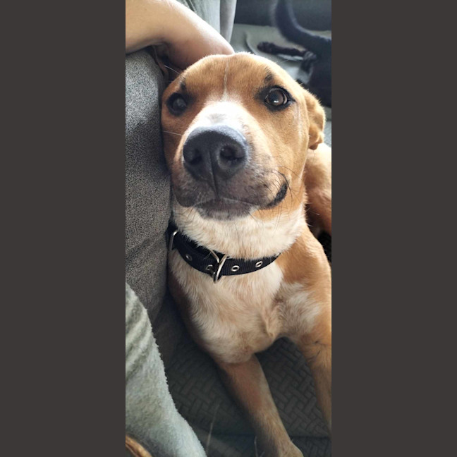Photo of Lewis (Louie)