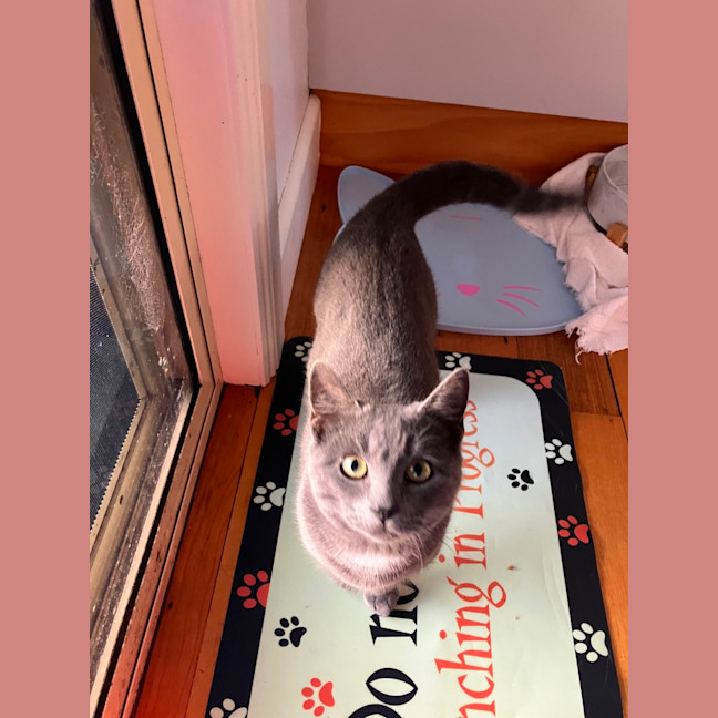Photo of Gus