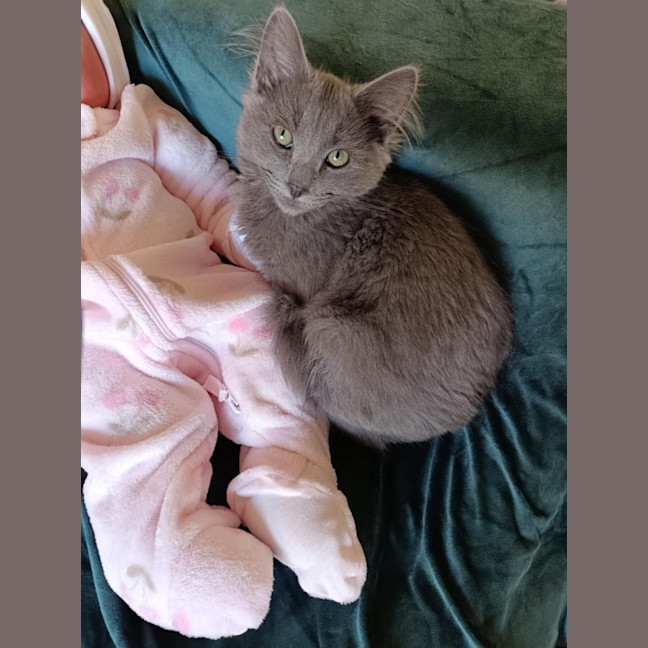 Photo of Melody