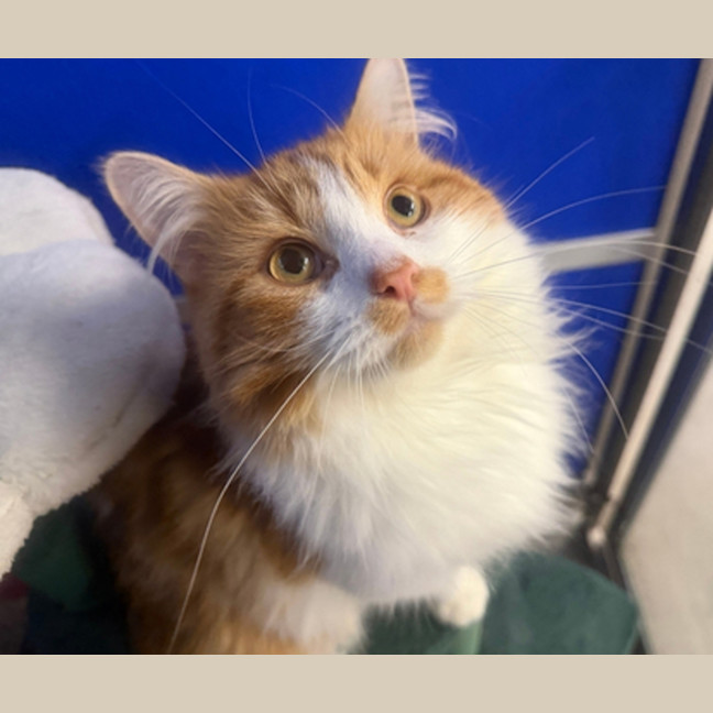 Photo of Bertie