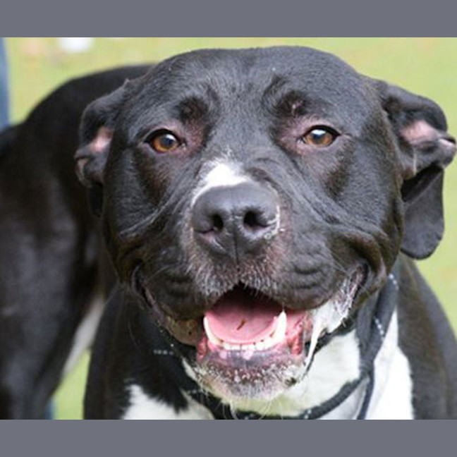 Photo of Zeus