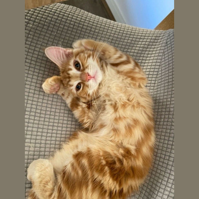 Photo of Klaus Xenos