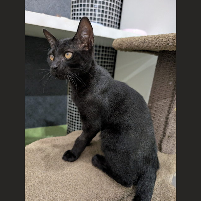 Photo of Ada