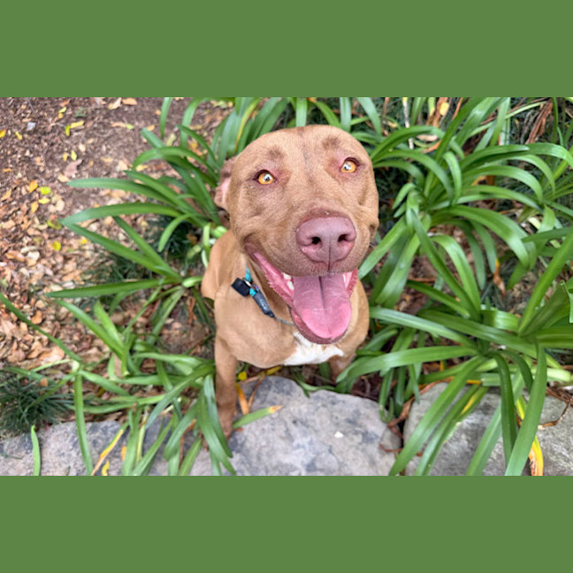 Photo of Missy
