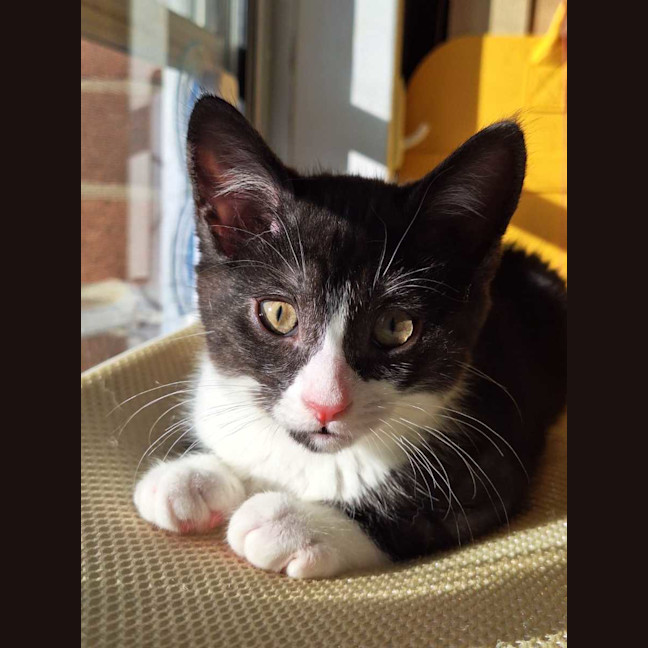 Photo of Bobbi